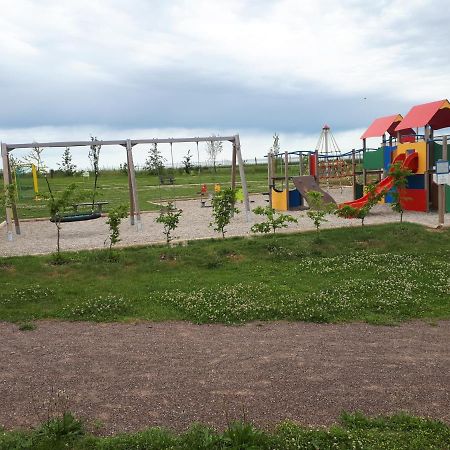 Gite Terre D'Helene 4 A 5 Pers Proche Strasbourg 42 M2, 3 Etoiles, Wifi, Paisible, Jardin, Proche Commerces,16 Atouts, Animaux Acceptes Berstett Bagian luar foto