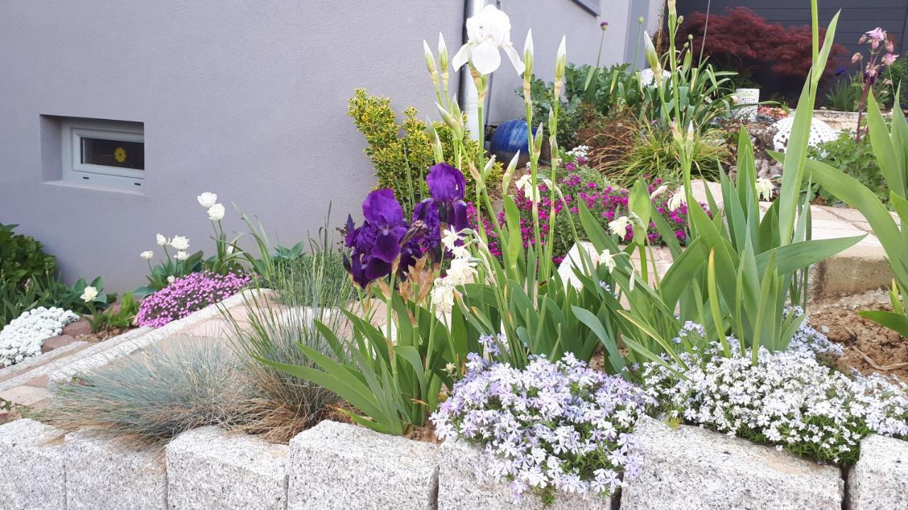 Gite Terre D'Helene 4 A 5 Pers Proche Strasbourg 42 M2, 3 Etoiles, Wifi, Paisible, Jardin, Proche Commerces,16 Atouts, Animaux Acceptes Berstett Bagian luar foto