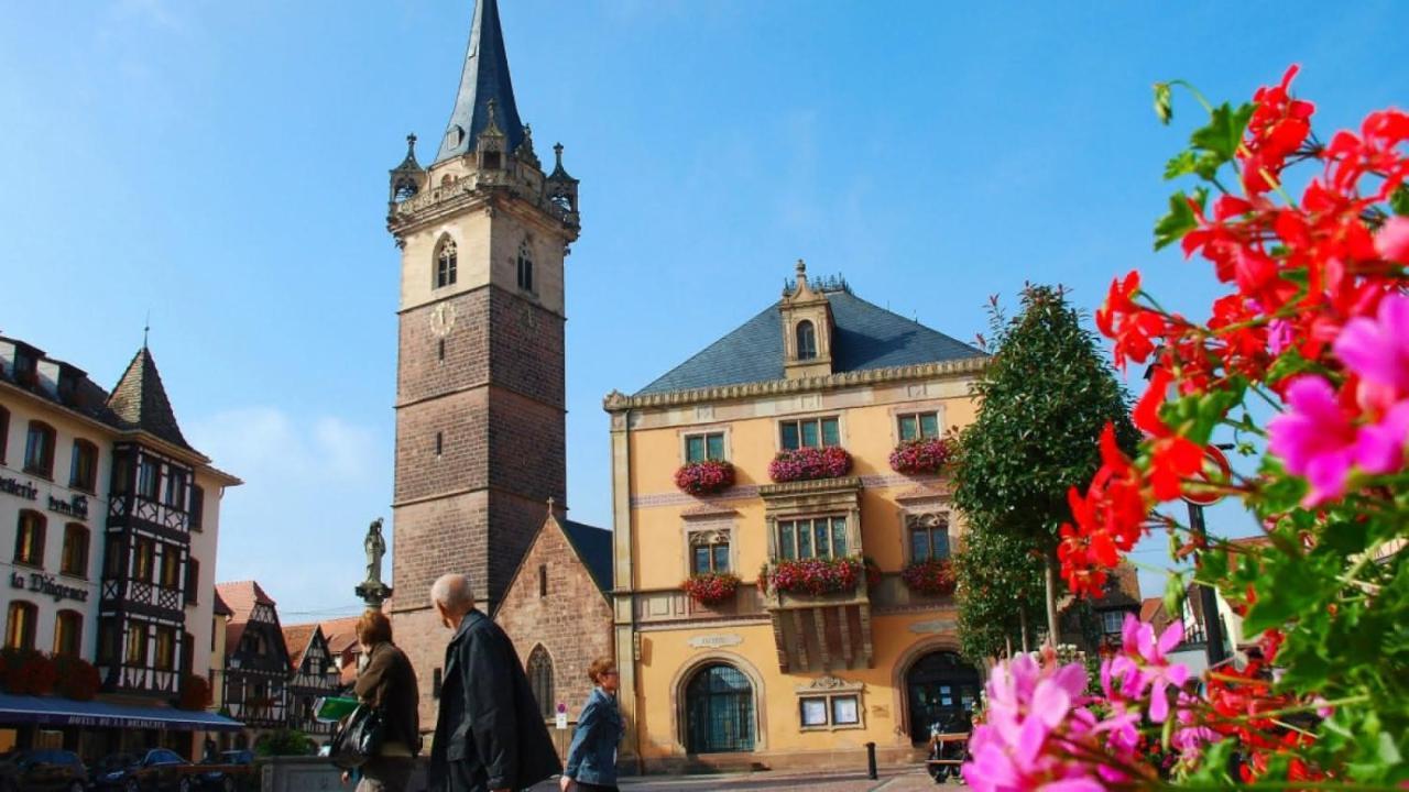 Gite Terre D'Helene 4 A 5 Pers Proche Strasbourg 42 M2, 3 Etoiles, Wifi, Paisible, Jardin, Proche Commerces,16 Atouts, Animaux Acceptes Berstett Bagian luar foto