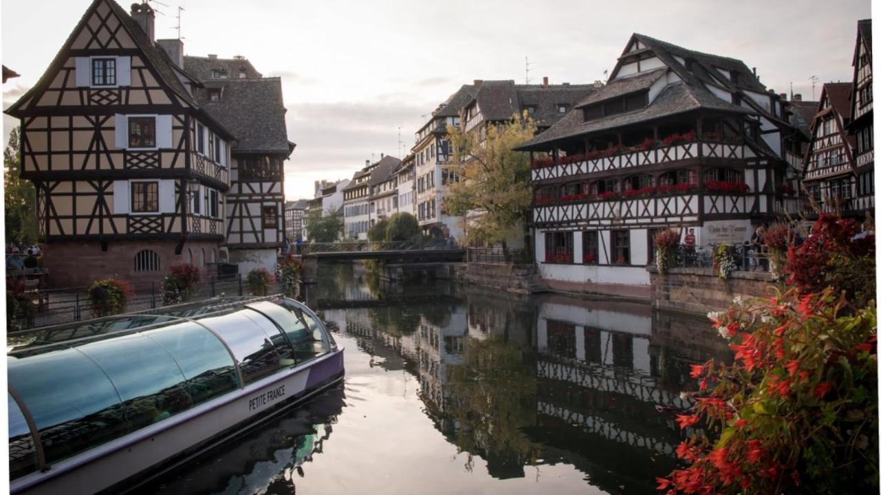 Gite Terre D'Helene 4 A 5 Pers Proche Strasbourg 42 M2, 3 Etoiles, Wifi, Paisible, Jardin, Proche Commerces,16 Atouts, Animaux Acceptes Berstett Bagian luar foto