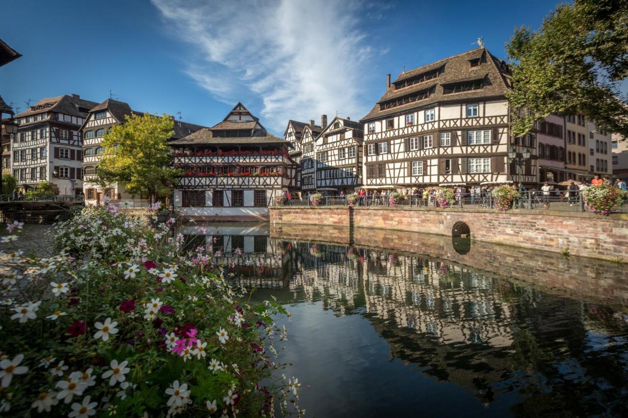 Gite Terre D'Helene 4 A 5 Pers Proche Strasbourg 42 M2, 3 Etoiles, Wifi, Paisible, Jardin, Proche Commerces,16 Atouts, Animaux Acceptes Berstett Bagian luar foto