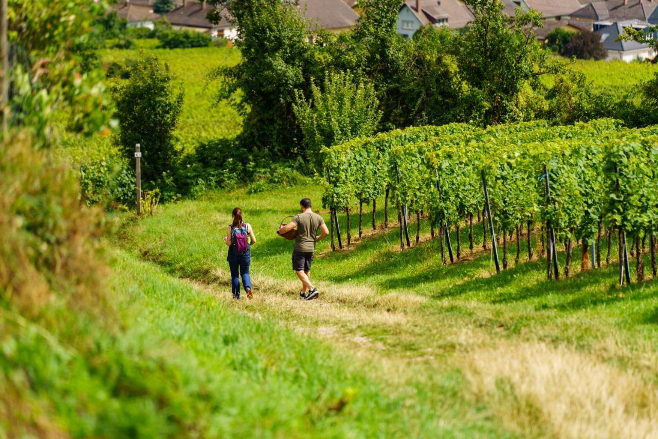 Gite Terre D'Helene 4 A 5 Pers Proche Strasbourg 42 M2, 3 Etoiles, Wifi, Paisible, Jardin, Proche Commerces,16 Atouts, Animaux Acceptes Berstett Bagian luar foto